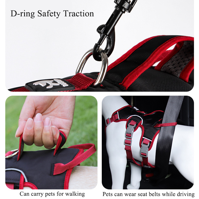 Çekişsiz Köpek Tasması Açık Ha - D Ring Strap incelemesi ve fiyatı